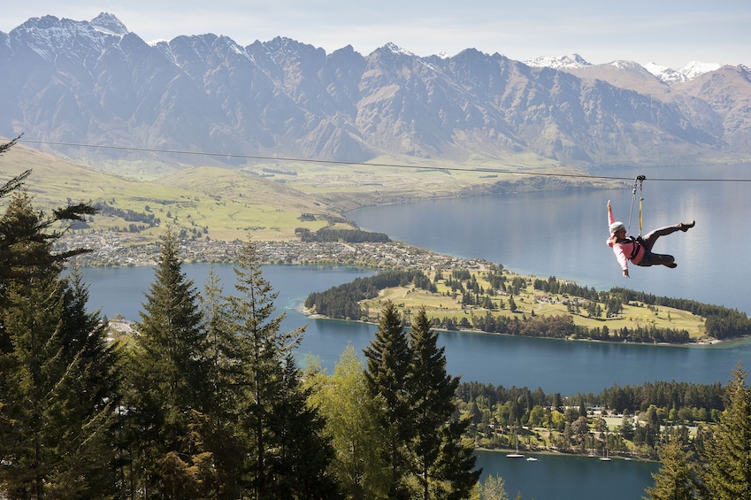 Show item 1 of 10. Zipline Eco-Adventure