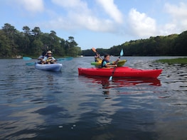 Cape Cod Explorer Kayak Tour