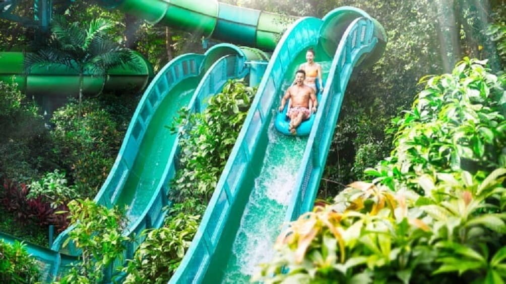 Adventure Cove Waterpark + 1 Way Transfer