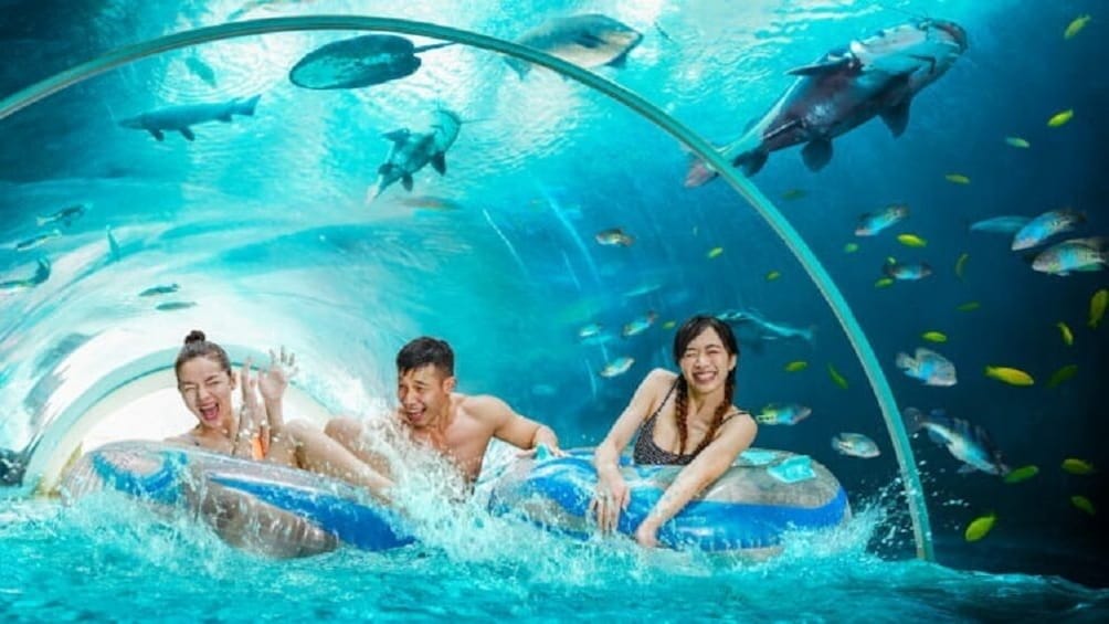 Adventure Cove Waterpark + 1 Way Transfer