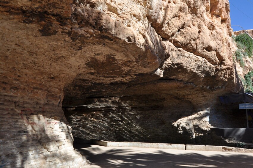 Day Trip to Ifrane and Atlas Mountains from Fez