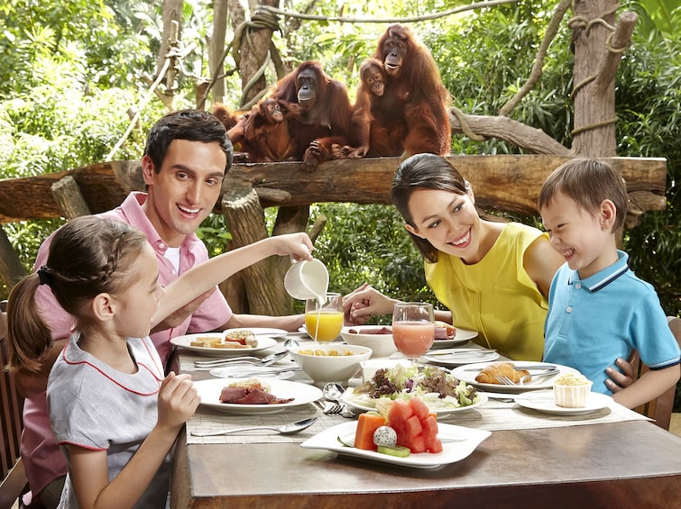 Show item 1 of 8. Singapore Zoo Ticket with Hotel Pickup