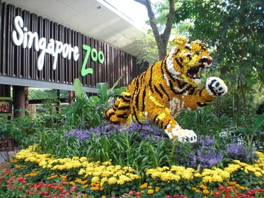 Wundersame Tierwelt im Singapore Zoo + Hin- und Rücktransfer