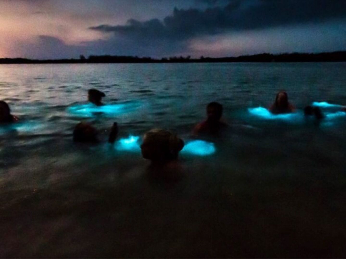 luminous lagoon