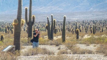 FULL DAY TOUR TO CACHI FROM SALTA