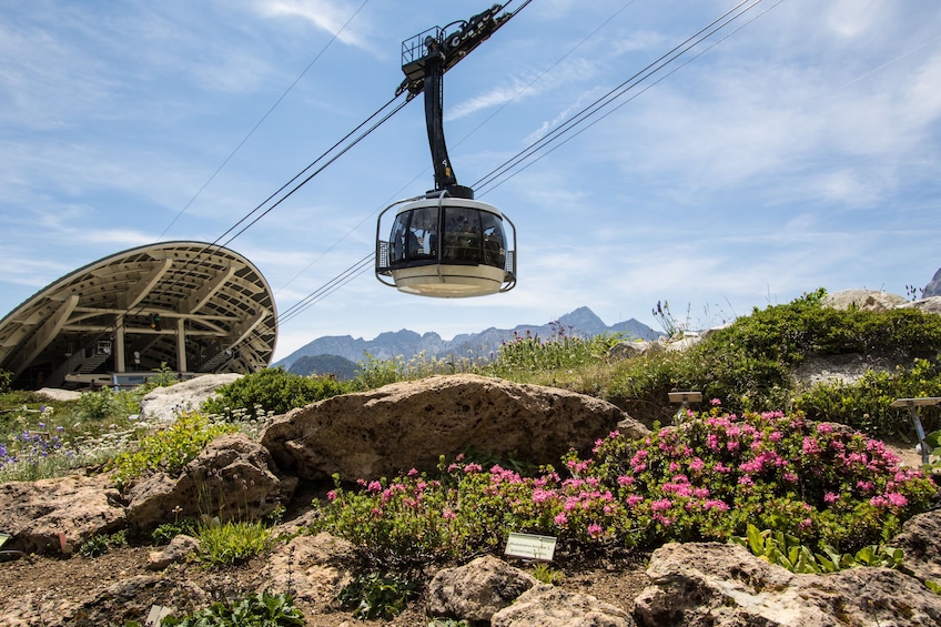  Monte Bianco Skyway Experience 