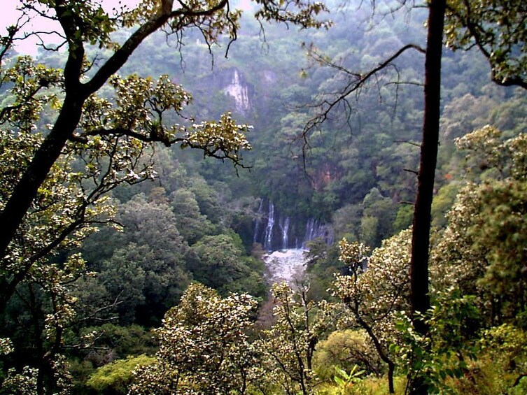 Mexico: Tales of Michoacan