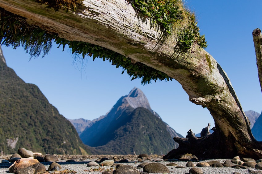 Milford Sound Fly Explore Fly 