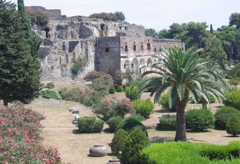 Skip-the-line Pompeii & Herculaneum Tour from Sorrento