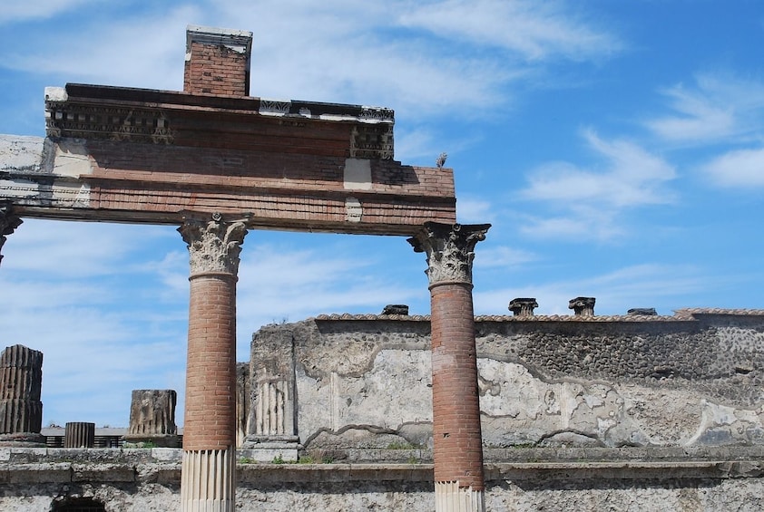 Skip-the-line Pompeii & Herculaneum Tour from Sorrento