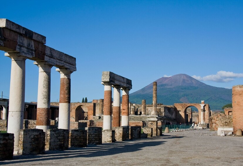 Skip-the-line Pompeii & Herculaneum Tour from Sorrento