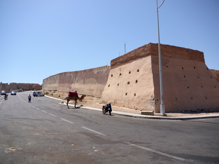 Marrakech to Agadir Full-Day Trip