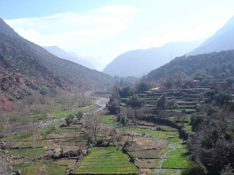 Marrakech to Ourika Valley Day Trip
