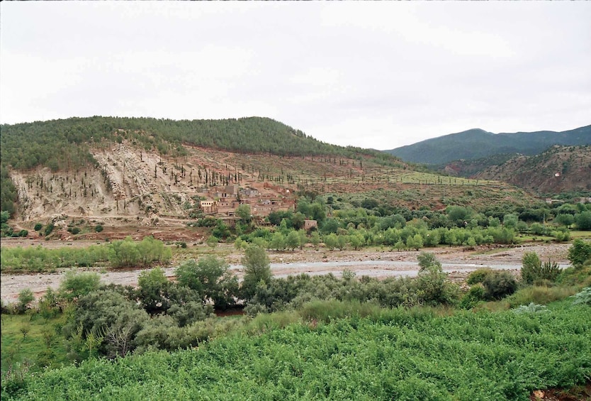 Marrakech to Ourika Valley Day Trip