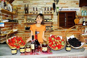 Curitiba Italian Heritage Tour