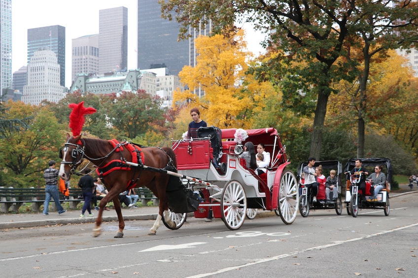 Horse Carriage Ride to Loeb Boathouse/Tavern on the Green