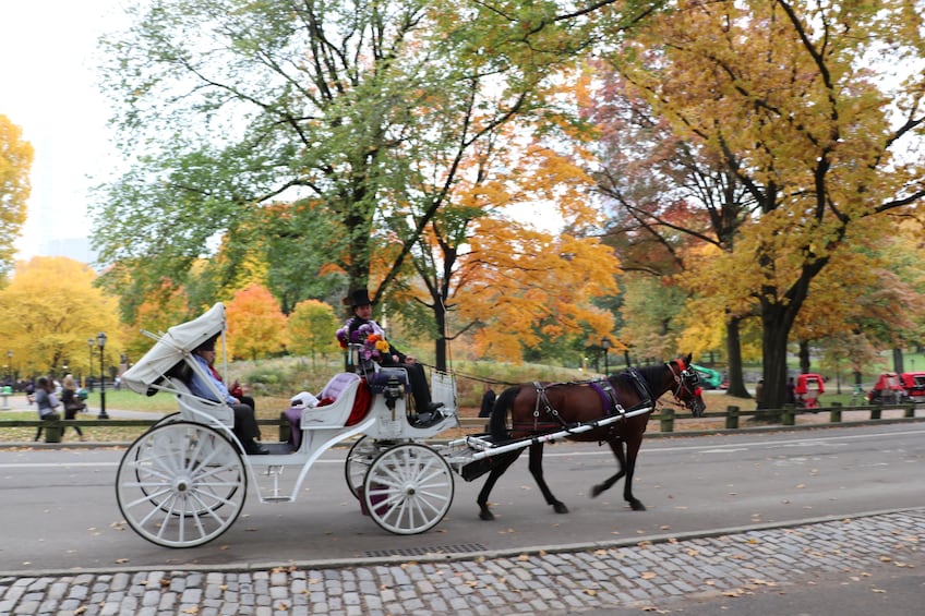 Horse Carriage Ride to Loeb Boathouse/Tavern on the Green