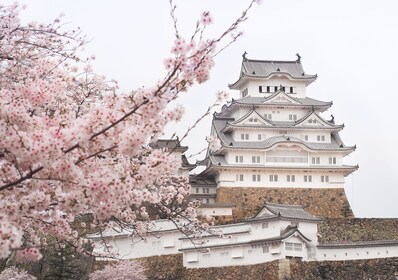 Privater & individueller Ganztag in Kyoto mit einem Einheimischen