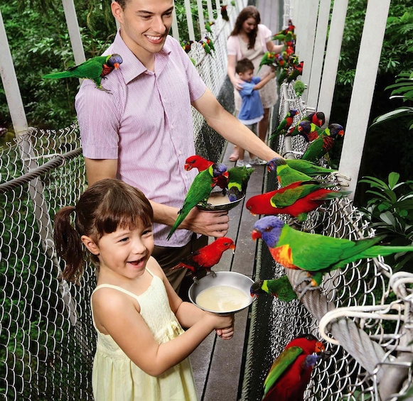 Singapore Jurong Bird Park With Tram Ride