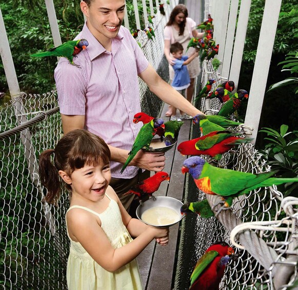 Singapore Jurong Bird Park With Tram Ride