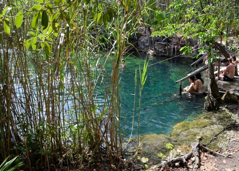 Swim in the Cenote Express  & Snorkel with Turtles.