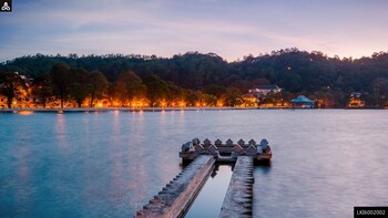 Kandy City Walk with a Local (Private 5-Hour Tour)
