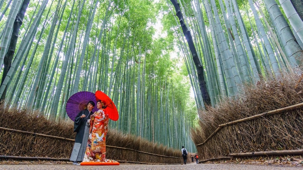 Visit Arashiyama's Bamboo Grove in Kyoto 