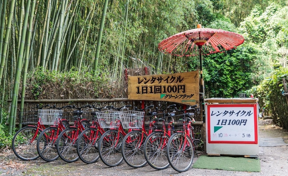 Visit Arashiyama's Bamboo Grove in Kyoto 