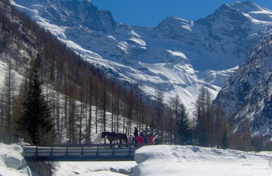 In Sleigh or Horse-Drawn Carriage in the Gran Paradiso Park 