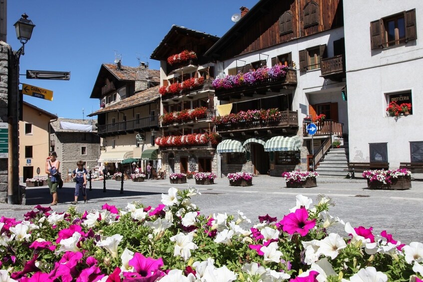Cogne is a town and comune (municipality) in Aosta Valley