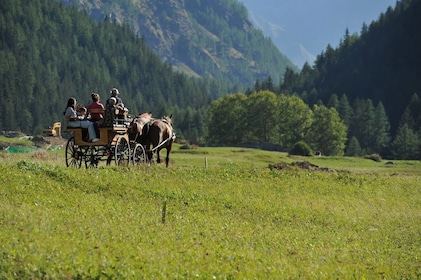 Im Schlitten oder in der Pferdekutsche im Gran Paradiso Park