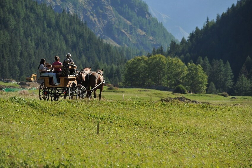 Horse-Drawn Carriage in the Gran Paradiso Park