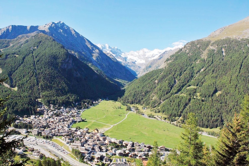 Meadows of Sant'Orso in Cogne