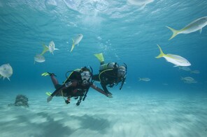Beginners Discover Scuba Diving Experience