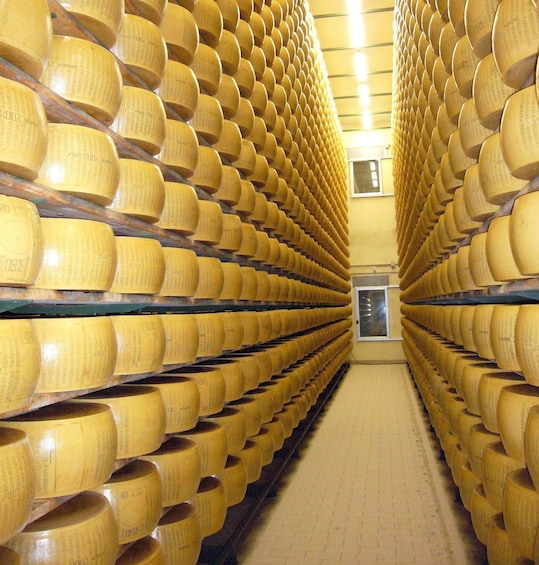 Parmigiano Reggiano Cheese Factory Tour from Parma