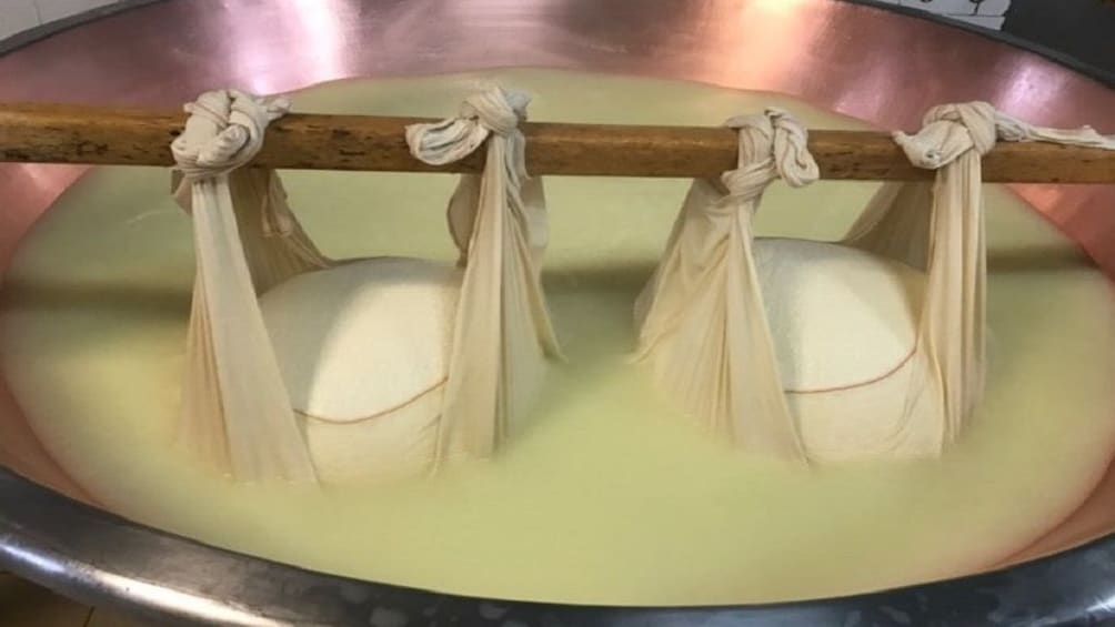 Parmigiano Reggiano cheese factory
