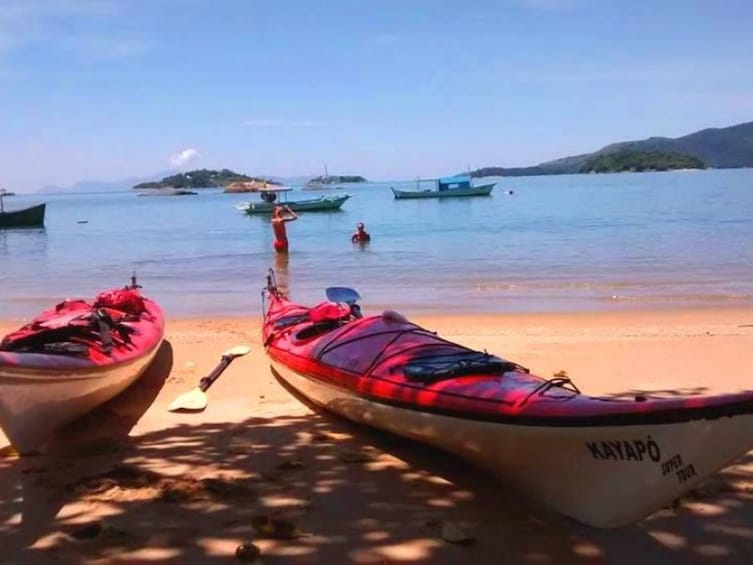 Mangrove and Beach Kayak Tour