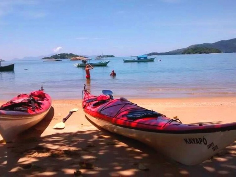 Mangrove and Beach Kayak Tour