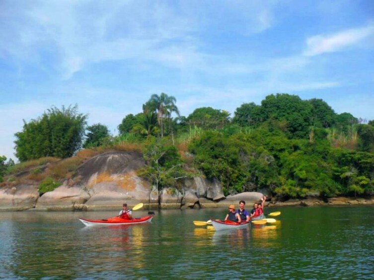 Mangrove and Beach Kayak Tour