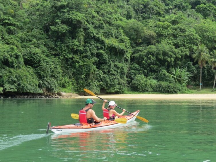 Mangrove and Beach Kayak Tour