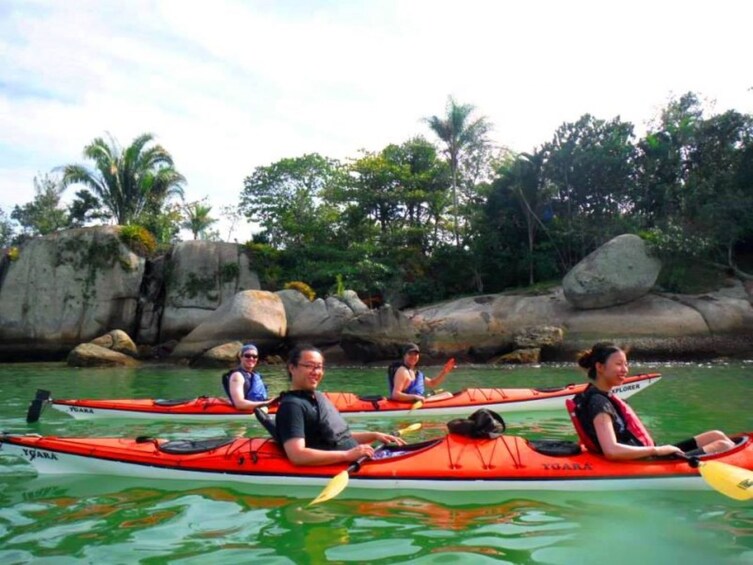 Mangrove and Beach Kayak Tour