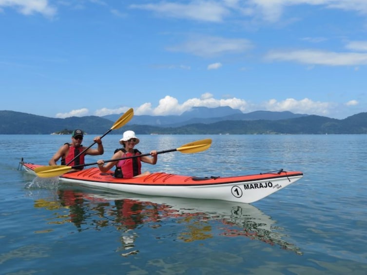 Mangrove and Beach Kayak Tour