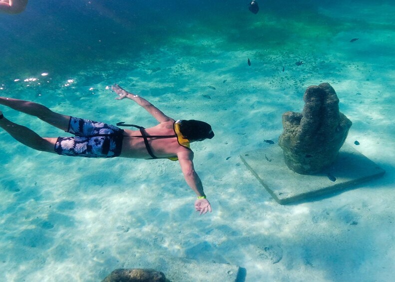 Ultimate Snorkel Adventure