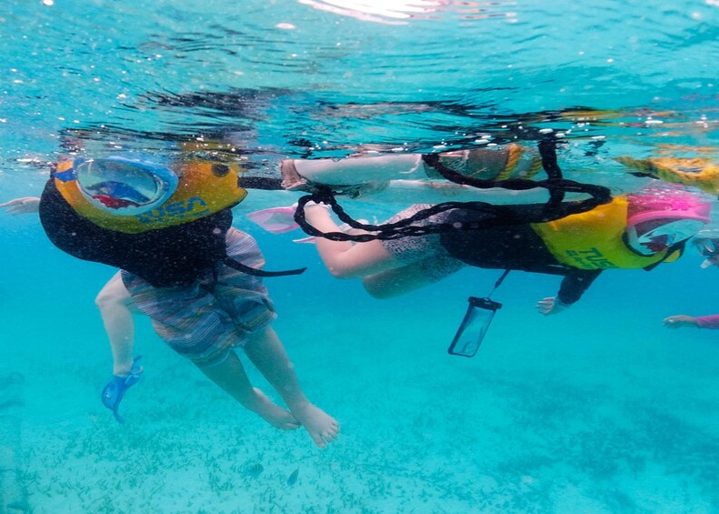 Ultimate Snorkel Adventure