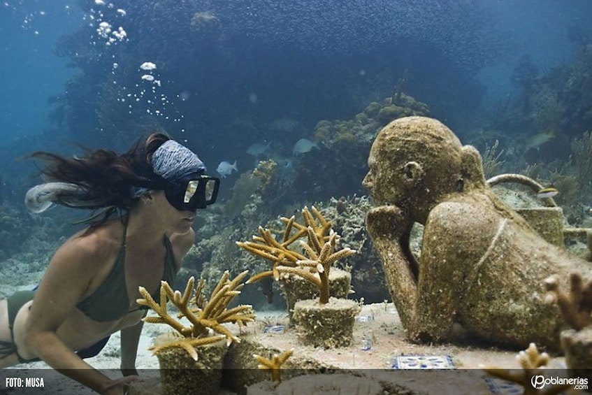 Ultimate Snorkel Adventure