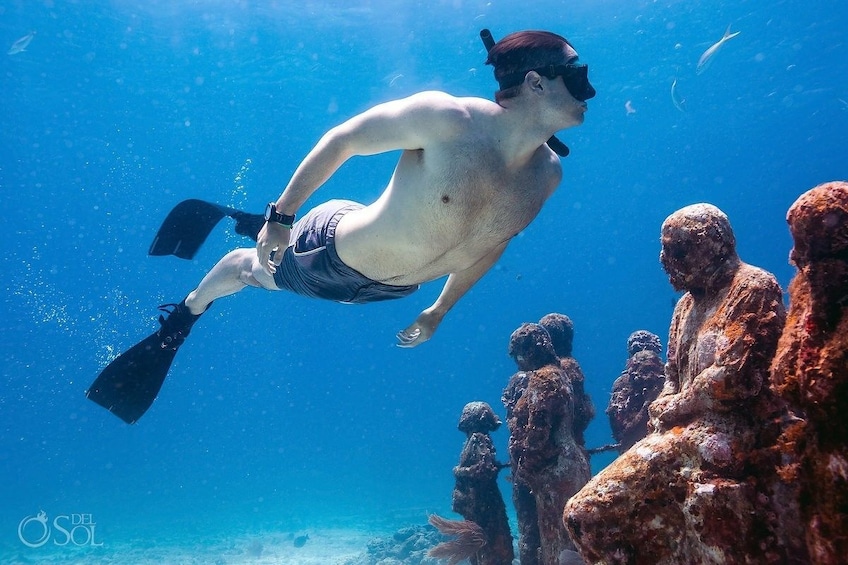 Ultimate Snorkel Adventure