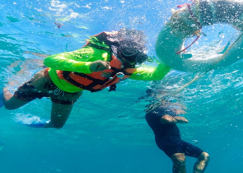 Ultimate Snorkel Adventure
