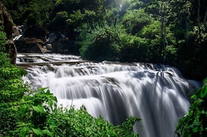 The Midland Waterfall Hunt from Kandy (Private Day Tour)
