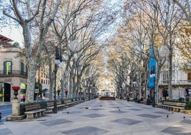 CityXperience Bus Palma and Valldemossa Visit