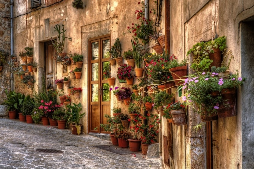 CityXperience Bus Palma and Valldemossa Visit